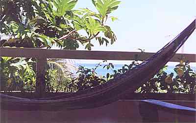 Hammock.jpg (13760 bytes)